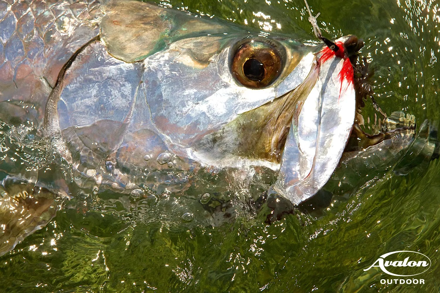 jdr-fishing-photos_4