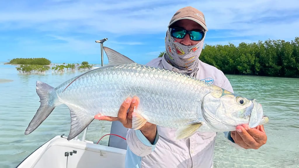 Tarpon caught on fly