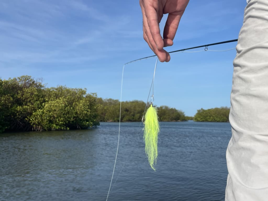 hunting in the mangroves