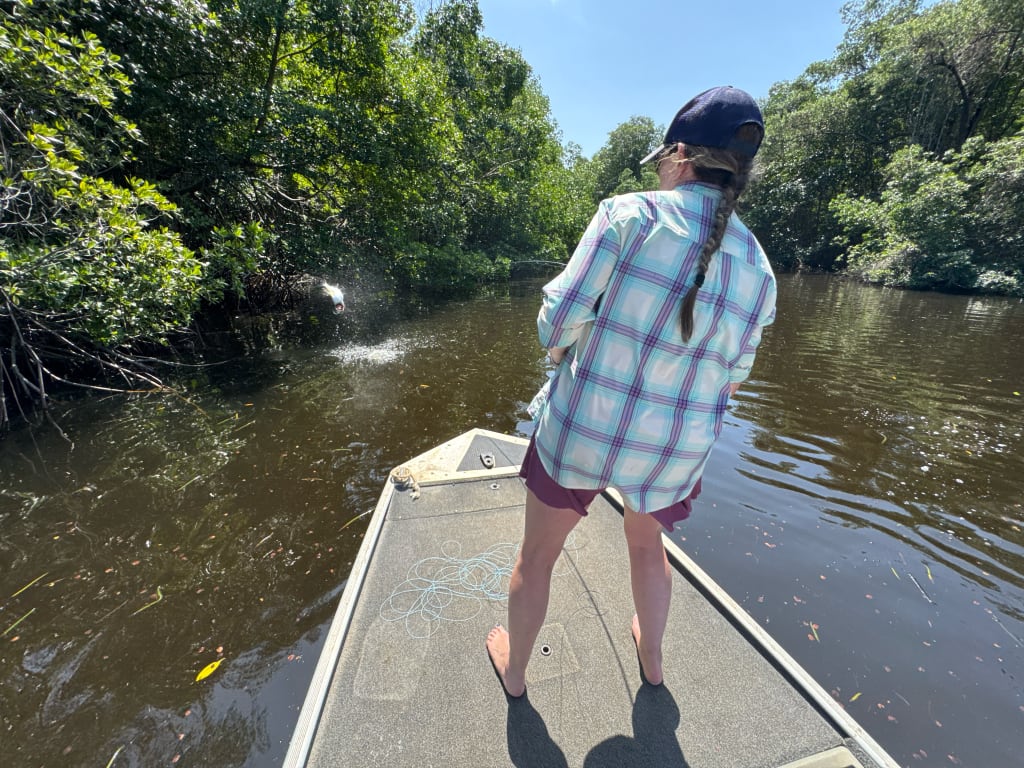 tarpon rio Hatiguanico