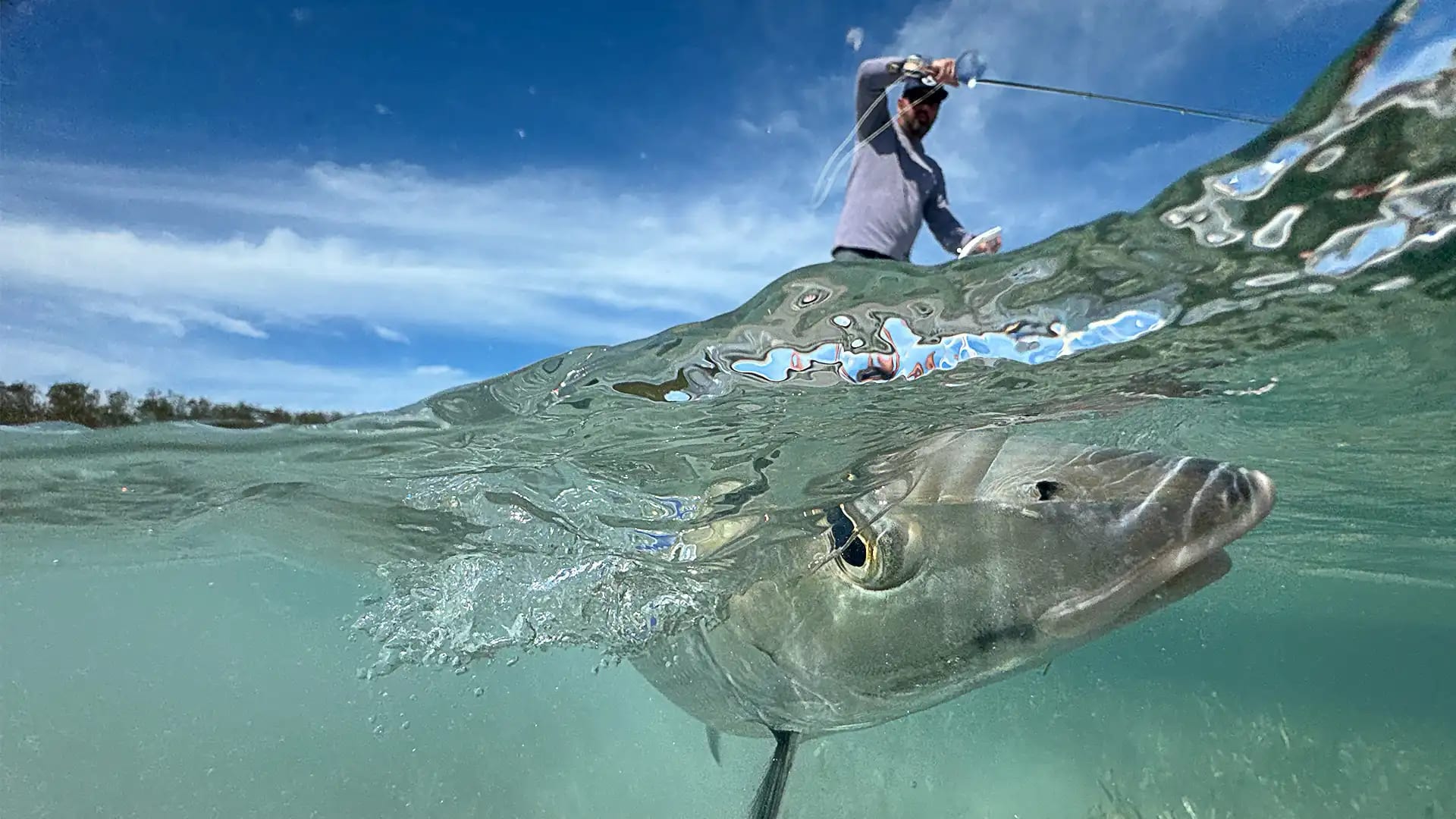 canarreos_fishing_7_q50