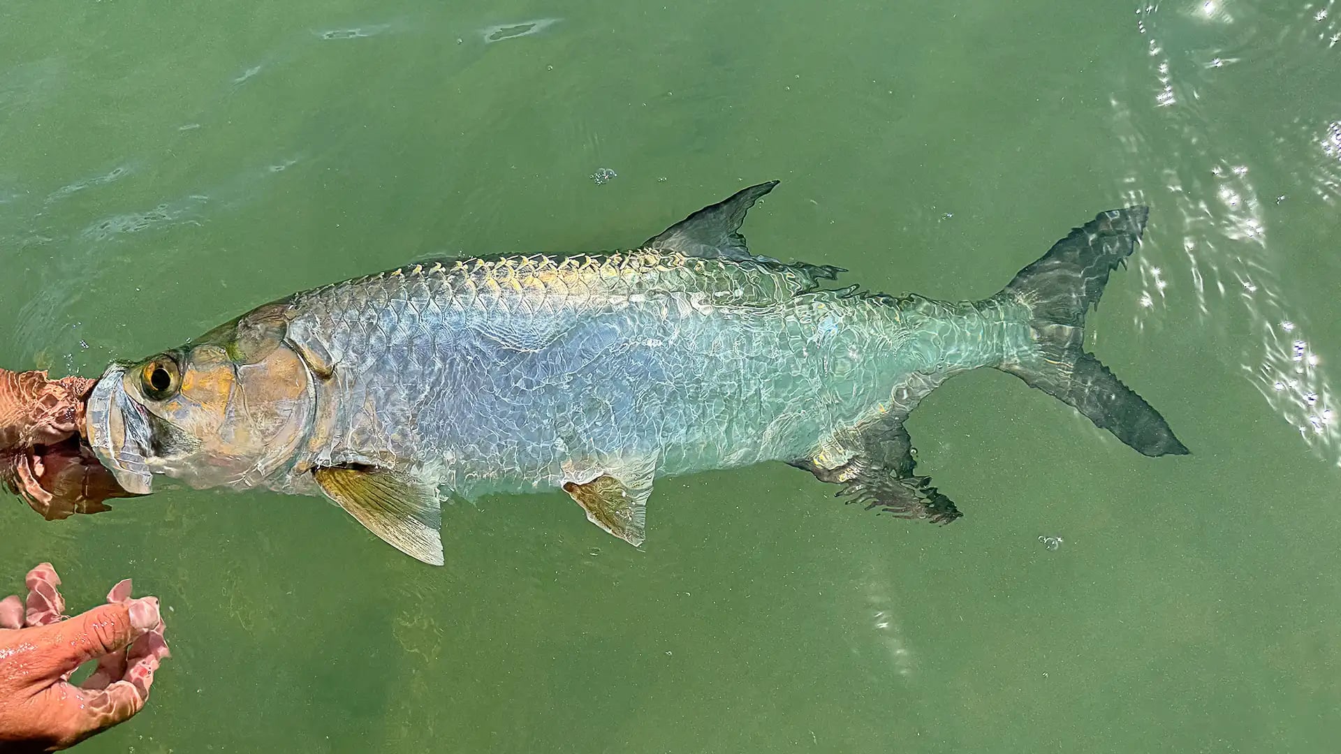 canarreos_fishing_2_q50