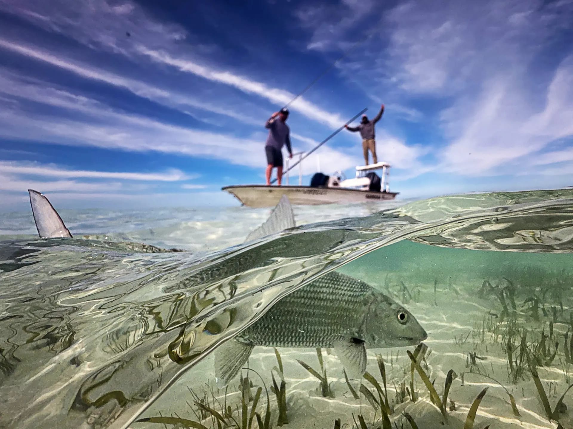 Bonefish underwater fly fisherman above