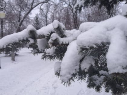 6 марта синоптики обещают тюменцам похолодание