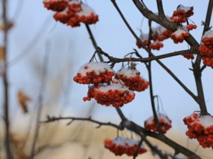 В среду в Тюмени вновь будет ветрено