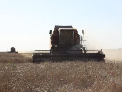 Уборка урожая в Ишимском районе продолжается несмотря на трудные условия