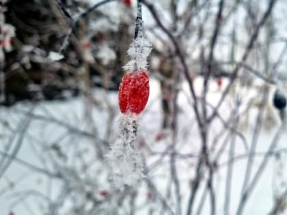 На Тюмень надвигаются 30-градусные морозы