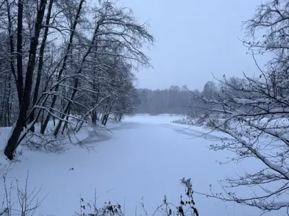Тюменскую область одна за другой накроют две вспышки экстремальных морозов