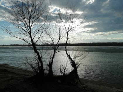 Александр Моор доложил о паводке в Тюменской области президенту Путину