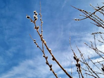 Когда в Тюмень вернется тепло?