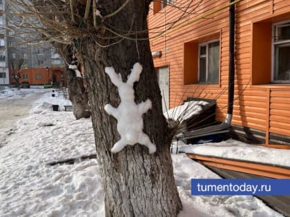 Теплая погода в Тюмени побила рекорд 1961 года