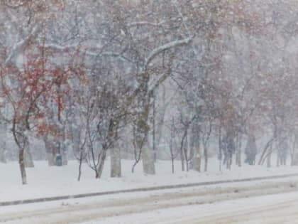 В последнюю неделю марта в Тюмени прогнозируют дождь, снег и ветер