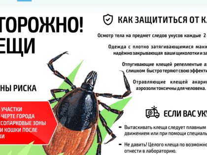 Клещи проснулись