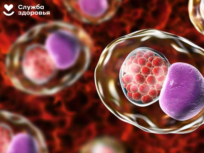 Этот «букет» можно и не заметить