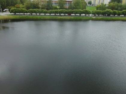 Очищение пруда: забота о природных ресурсах Тюмени