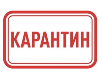 Карантин в детских садах Тюменской области из-за энтеровируса