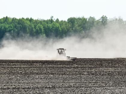 Более 12 тысяч гектаров засеяли зерновыми и зернобобовыми культурами в Сладковском районе