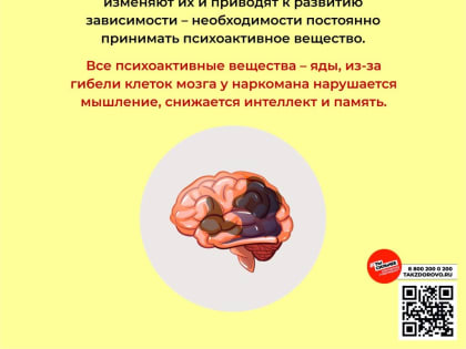 Неделя профилактики употребления наркотических средств