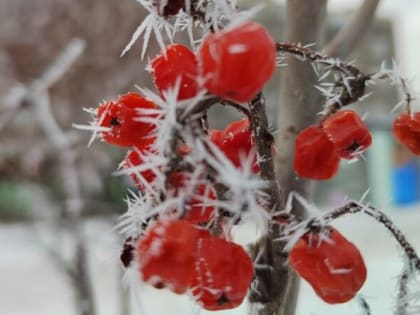 В среду в Тюмени будет прохладно и ветрено