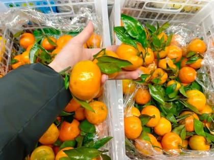 Специалисты Роспотребнадзора рассказывают, как поддерживать иммунитет зимой