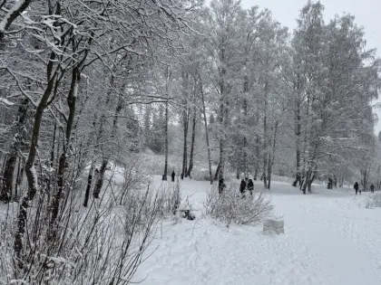 В Тобольске учеников второй смены освободили от школьных занятий из-за сильных морозов