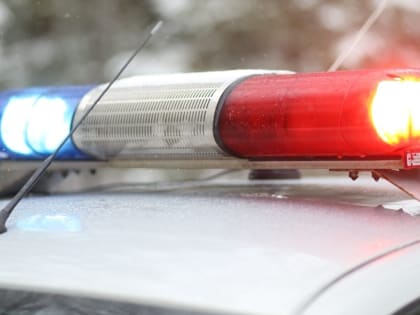 Жительница Ишима заказала поддельное водительское удостоверение