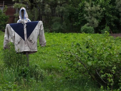 Тюменским дачникам рассказали, как бороться с вредителями