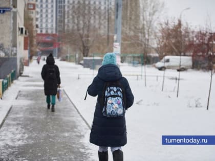 В тюменских школах отменили очные уроки у младшеклассников второй смены