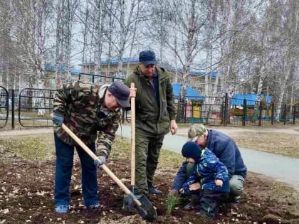 Ко Дню Победы депутаты высадили деревья в микрорайоне Иртышском