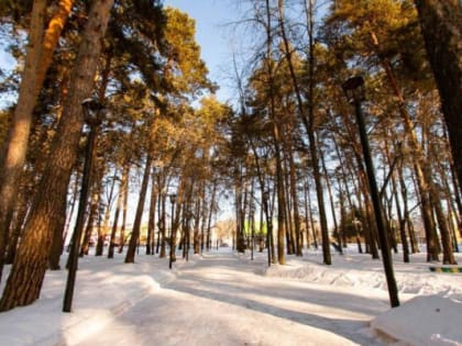 В выходные в Тюмени ночами будет мороз, а днем солнце