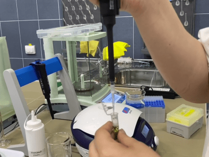 Предприятиям АПК компенсируют часть расходов на обучение студентов по целевым договорам