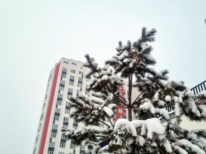 В эти выходные в Тюмени похолодает и будет идти снег