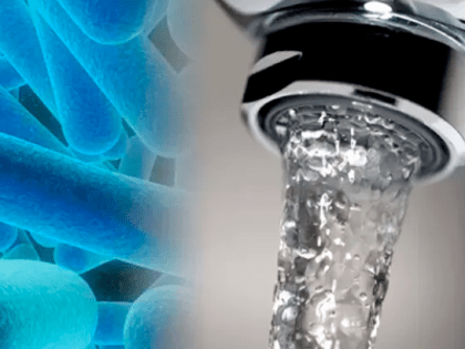 Профилактика легионеллеза