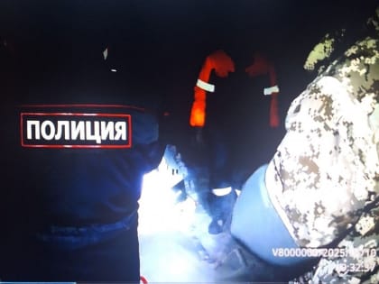 В Ишимском районе задержали группу браконьеров