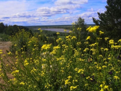 Во вторник в Тюмени будет до +25 градусов