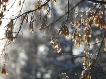 Выходные в Тюмени пройдут без снега и больших морозов