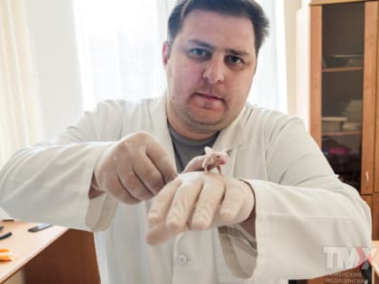 Ученые проводят цикл экспериментов по заживлению кожных ран