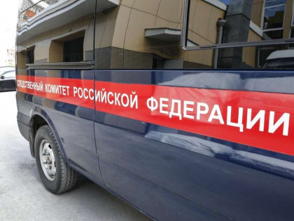 Александр Бастрыкин поручил возбудить уголовное дело по обращению сироты из Тобольска