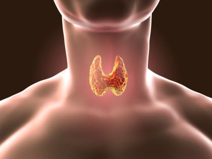 Идёт неделя профилактики заболеваний эндокринной системы