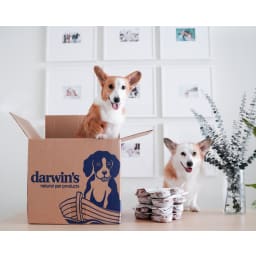Darwin's Pet logo