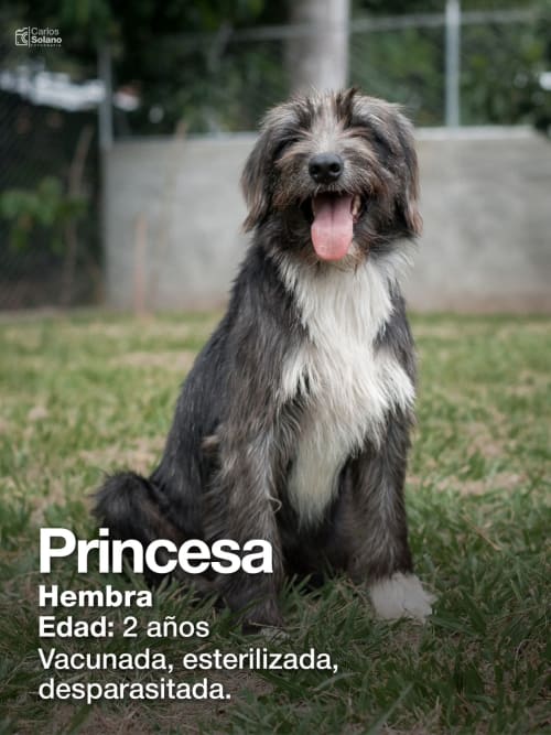 Princesa