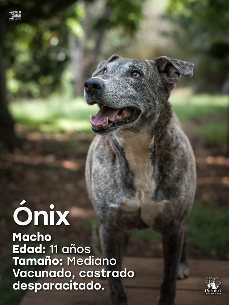 Onix