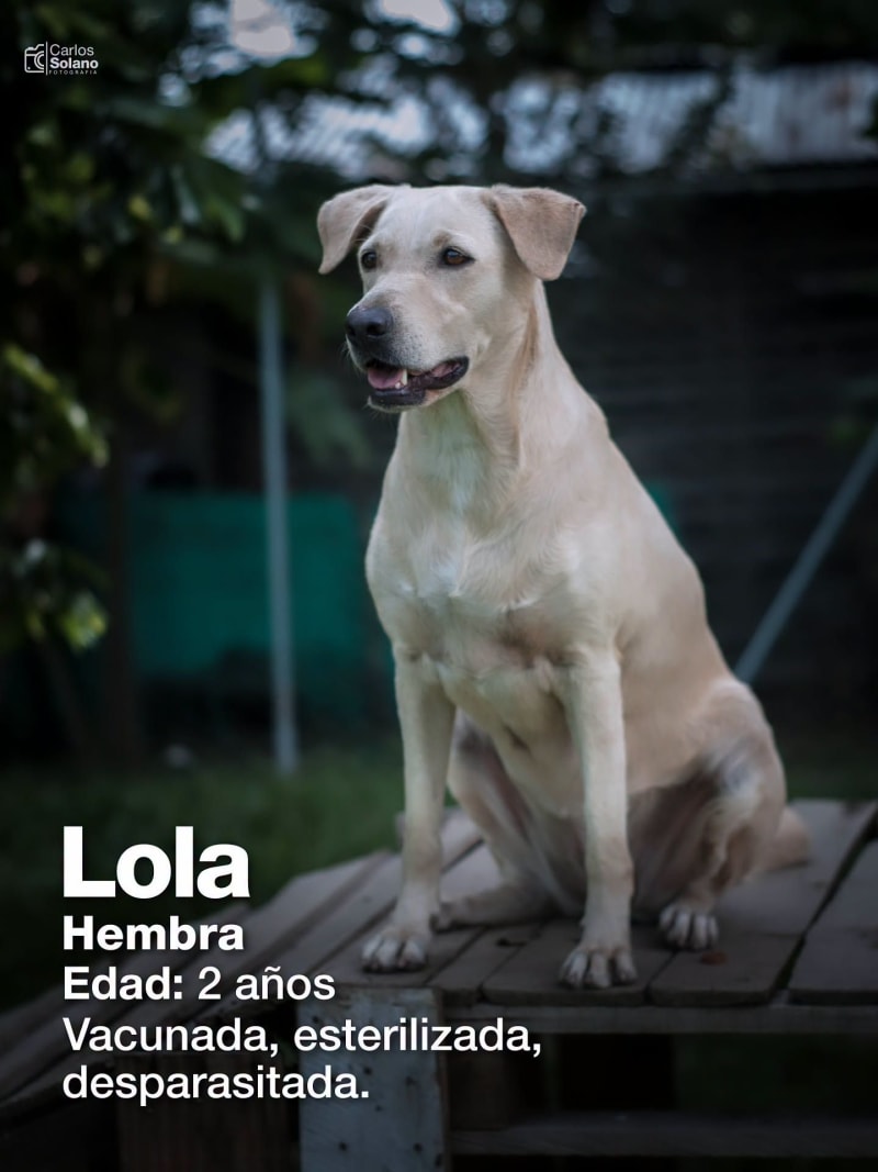 Lola