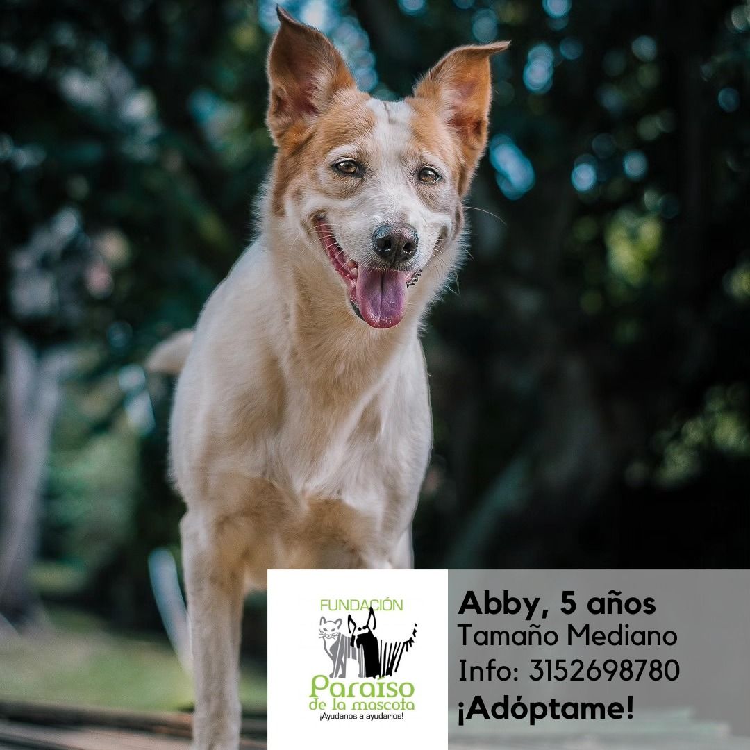 Abby