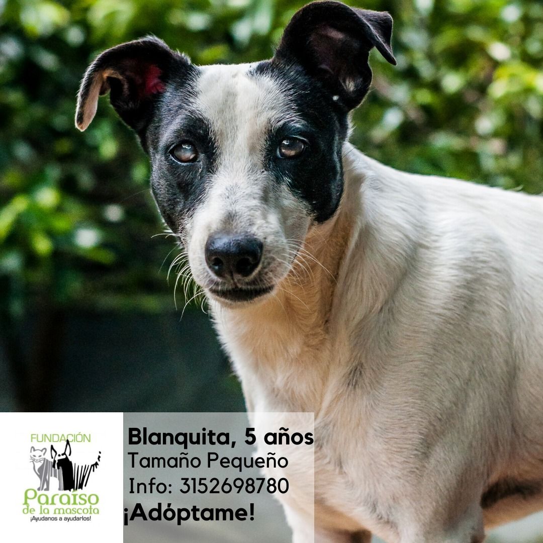 Blanquita