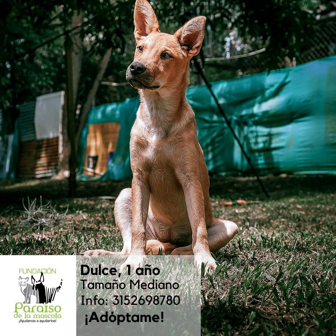 Dulce