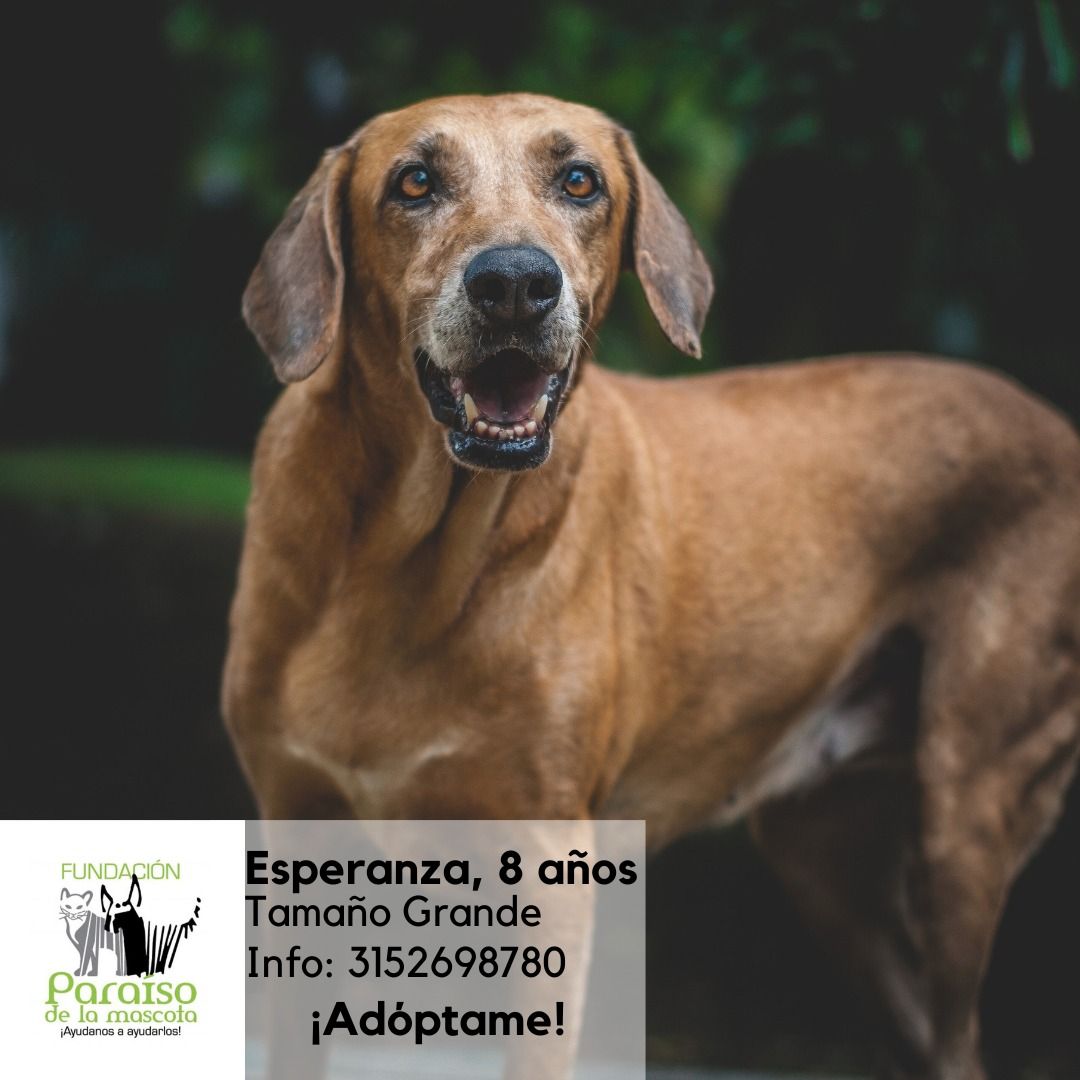 Esperanza
