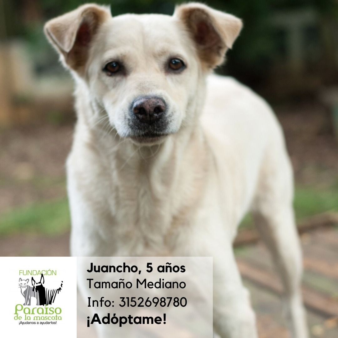 Juancho