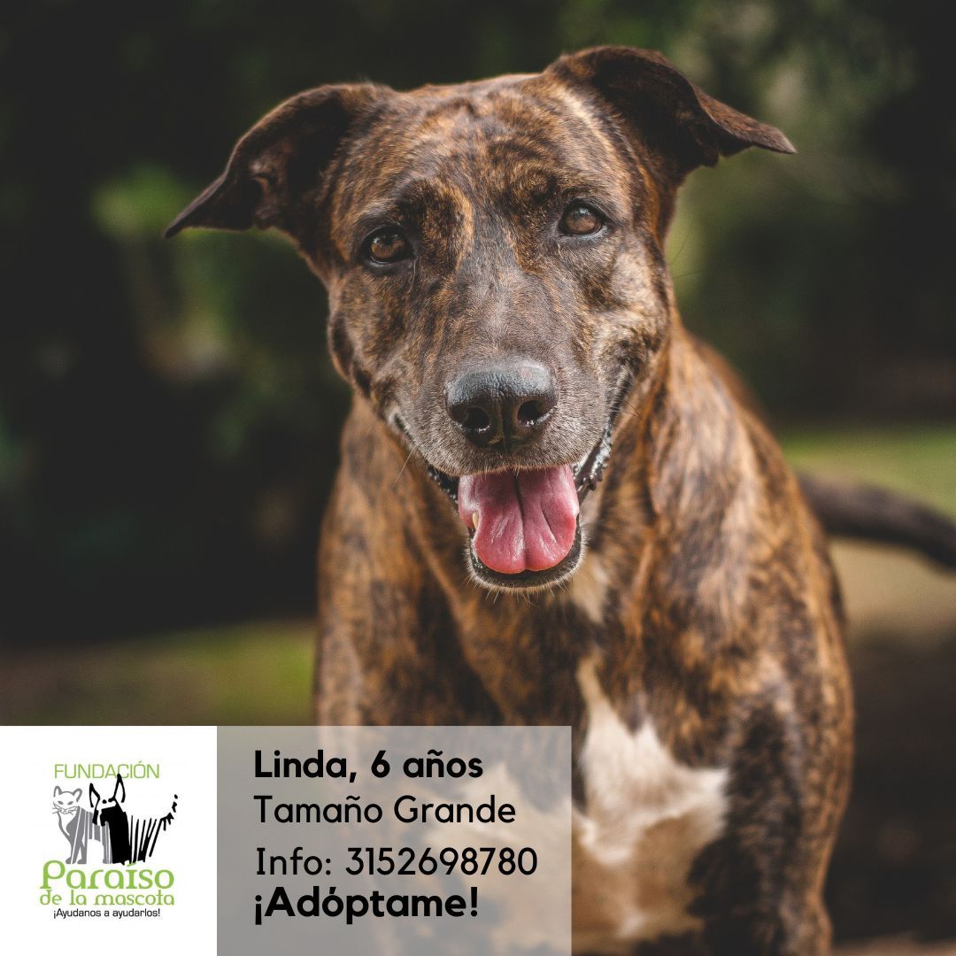 Linda