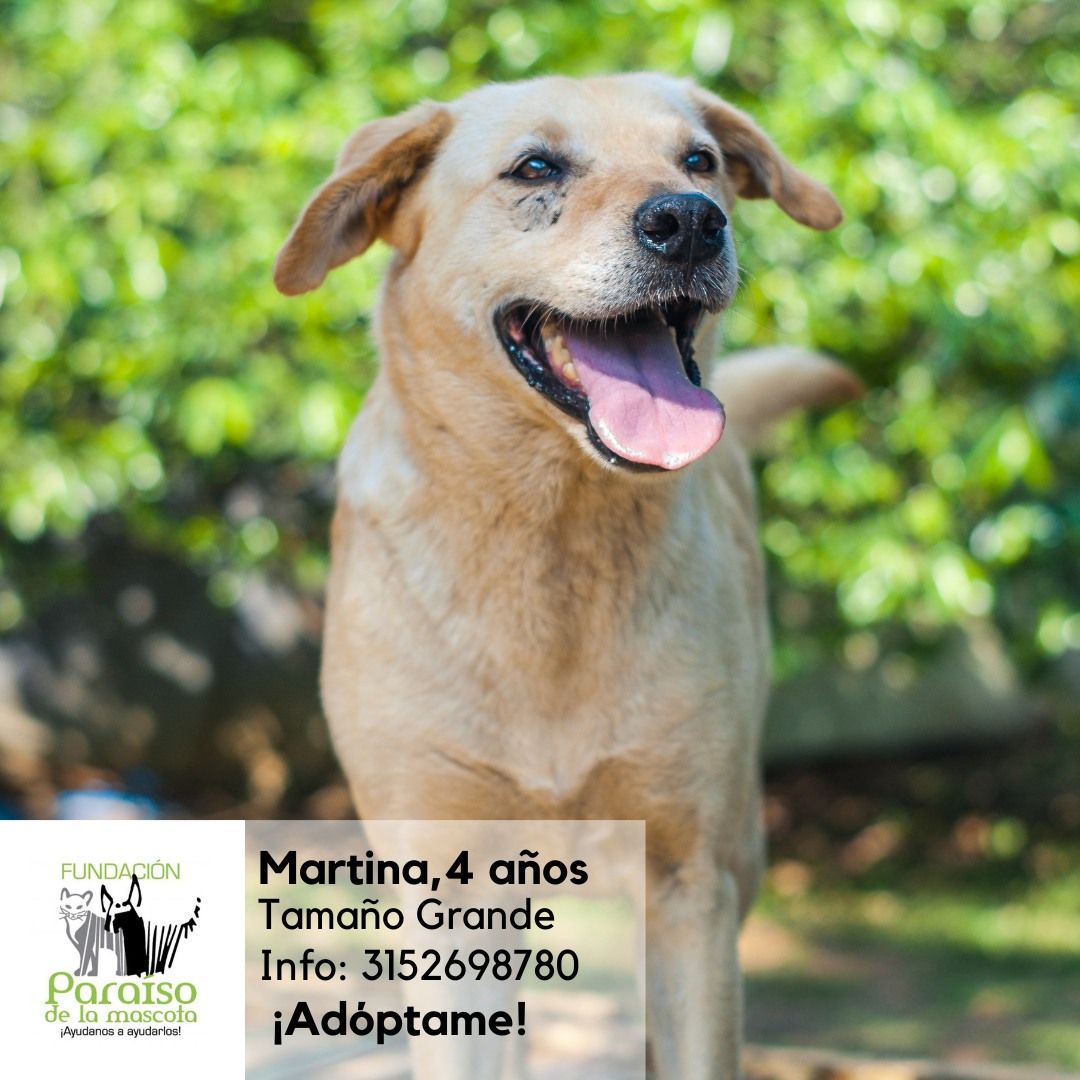 Martina